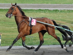 Random Shot 130808-6